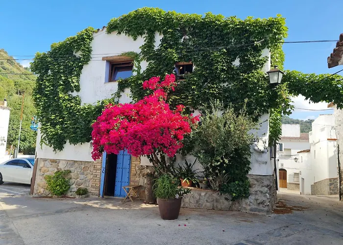 Casa La Yedra By Casaturistica