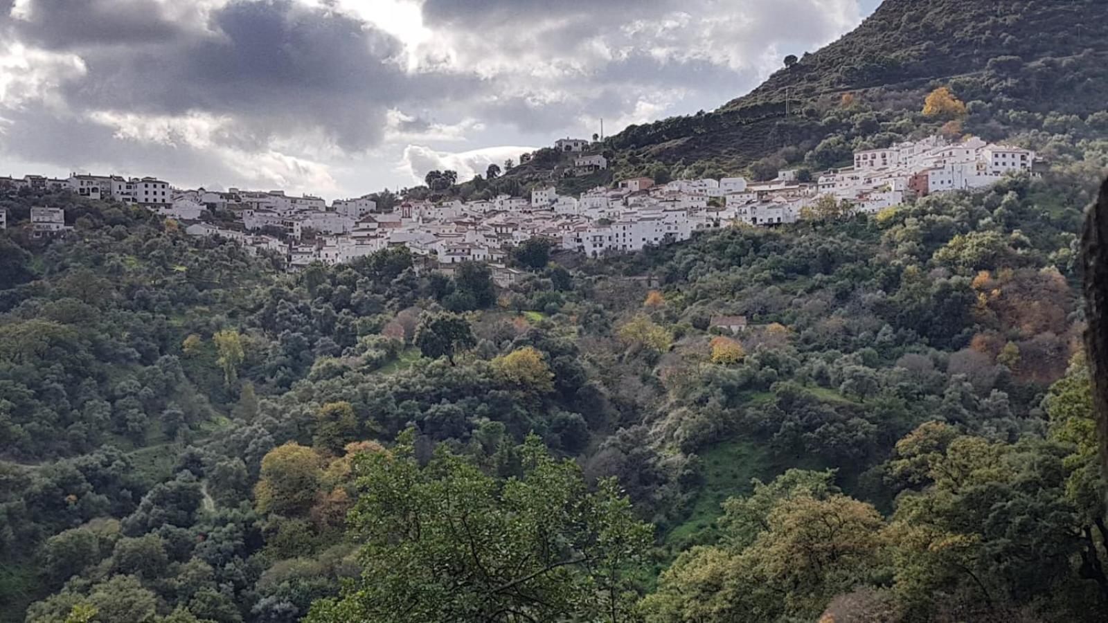 Casa La Yedra By Casaturistica Holiday home *
