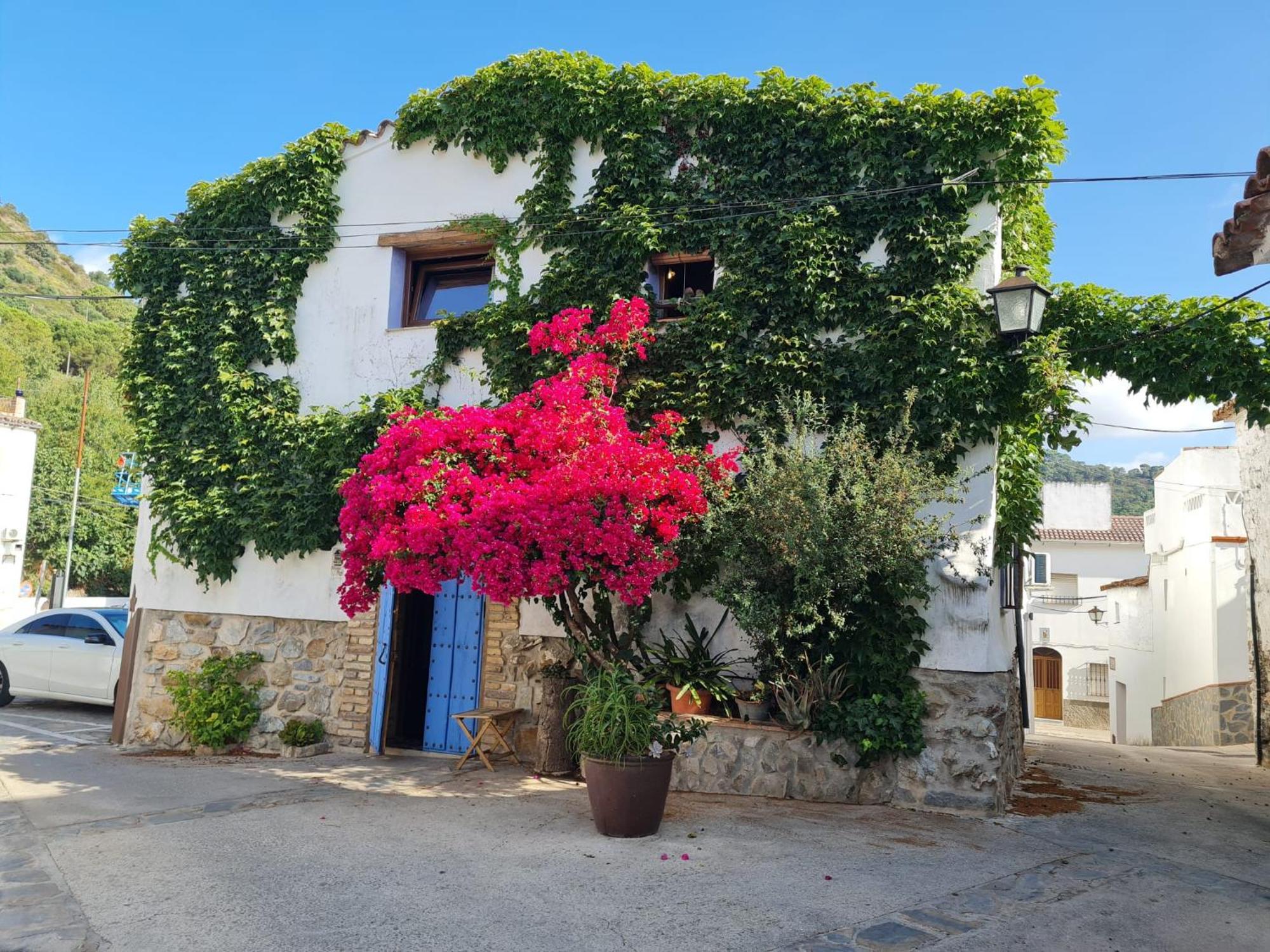 Casa La Yedra By Casaturistica