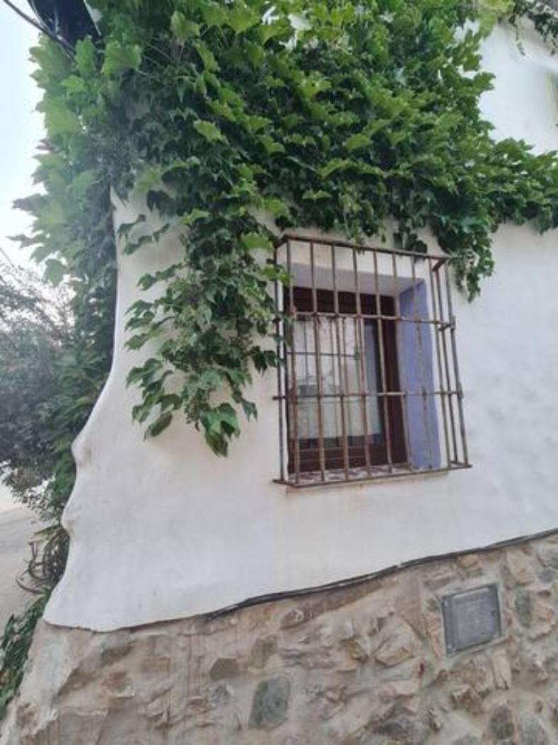 Casa La Yedra By Casaturistica Benarrabá