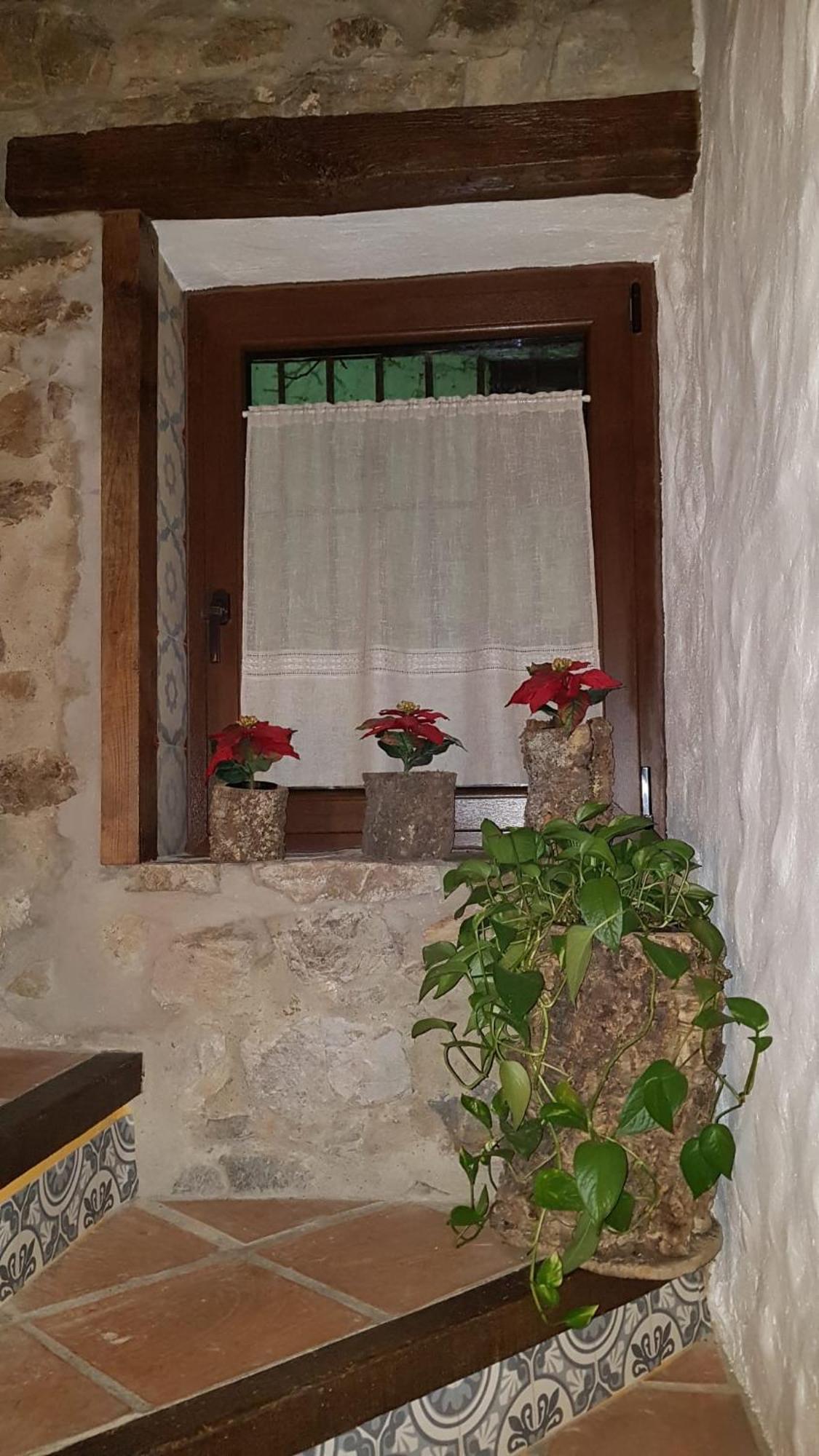 Casa La Yedra By Casaturistica Benarrabá